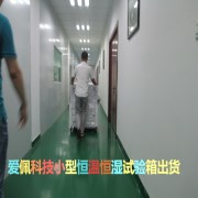 小迷你型高低溫試驗(yàn)箱|小迷你型高低溫測(cè)試機(jī)